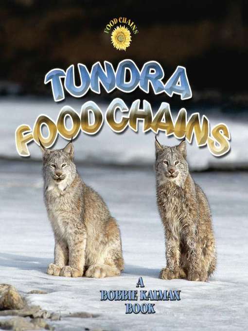 Title details for Tundra Food Chains by Kelley MacAulay - Available